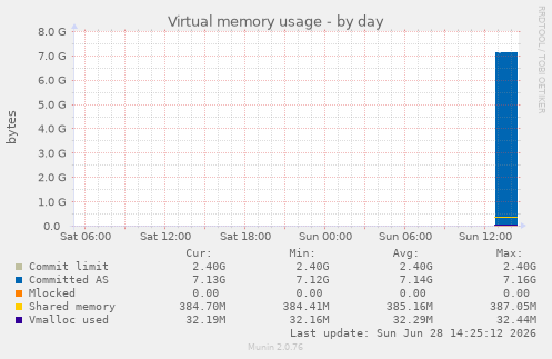 Virtual memory usage